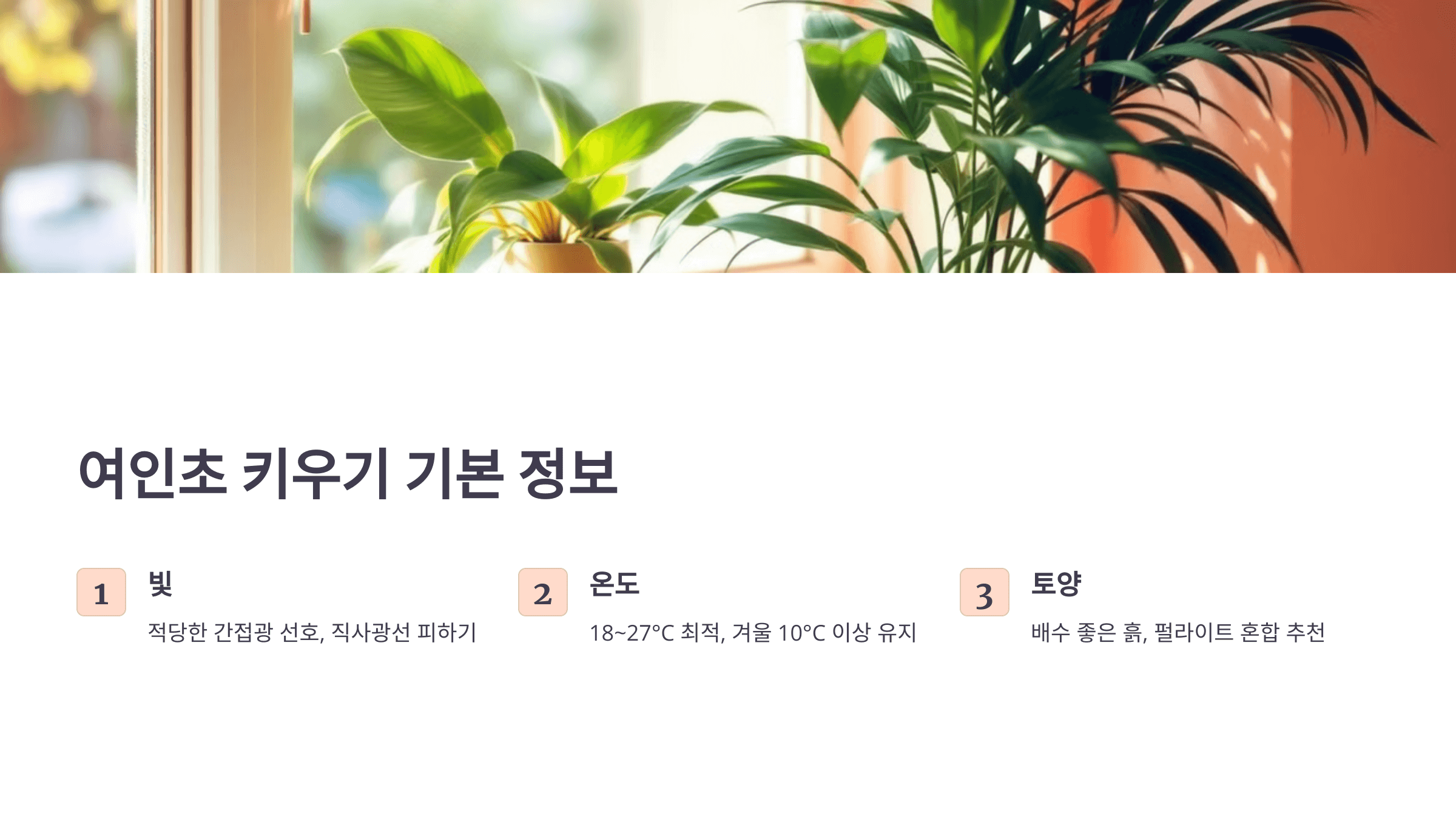 여인초 사진입니다.