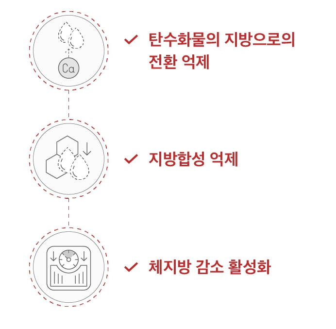 가르시니아는 탄수화물의 지방 전환을 방해한다.