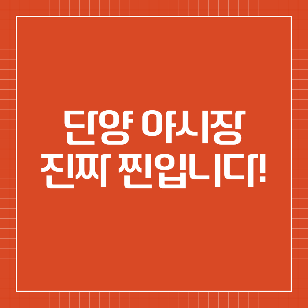 단양 야시장, 진짜 찐입니다!