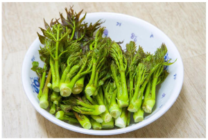 두릅무침