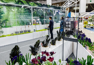 고양국제꽃박람회