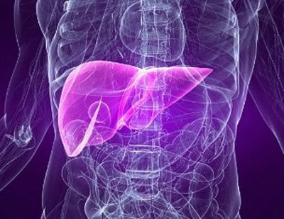 지방간에 좋은 약초 5가지