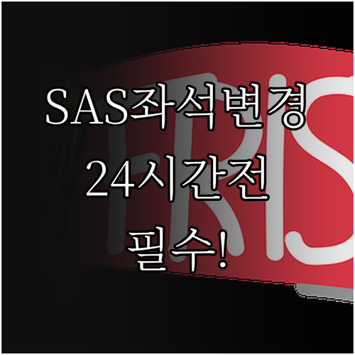 SAS 비행기 좌석 변경 출발 24시..
