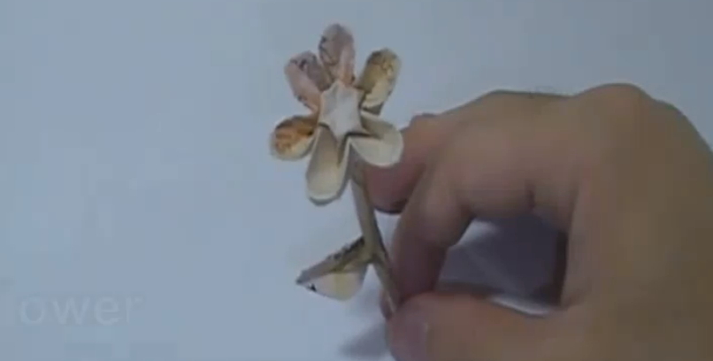 돈으로 꽃 접는 과정 사진