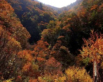 대둔산 케이블카_11