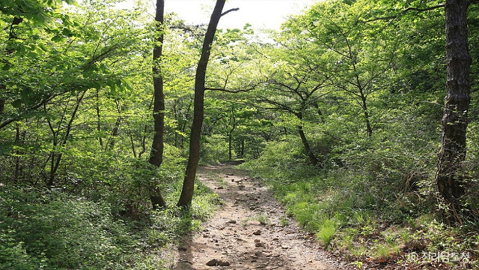 2024 가을 여행지 단풍 명소 추천