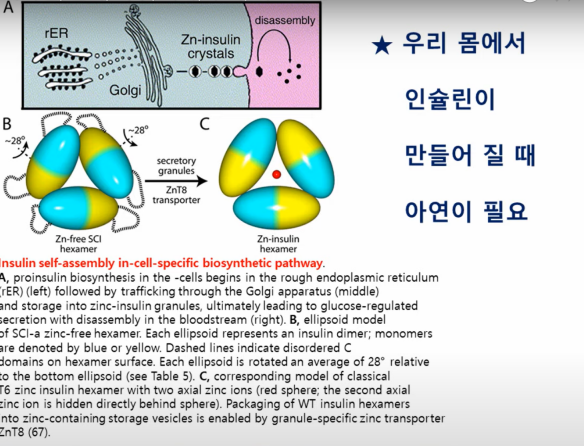 아연6 