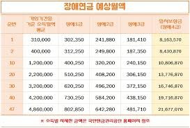 장애연금 지급 대상자