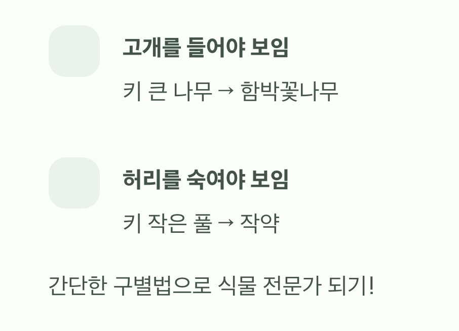 이제 당신도 식물 박사!