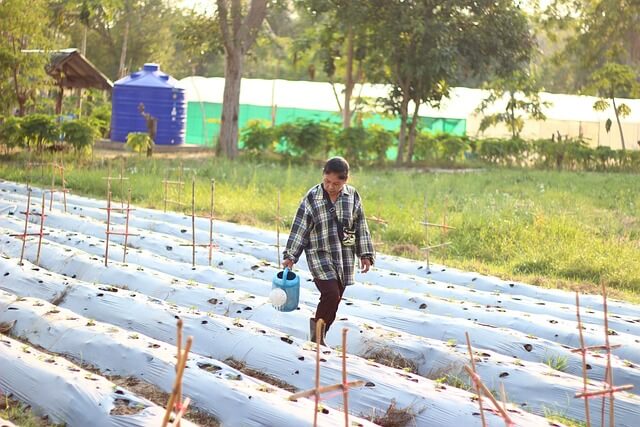 2025년 최신 농지연금 가입조건&amp;#44; 예상 수령액