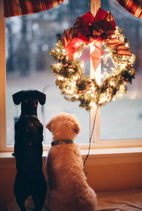 2025 한강겨울축제 로맨틱 한강 크리스마스 마켓&amp;#44; 봄ON한강&amp;#44; 한강바람축제