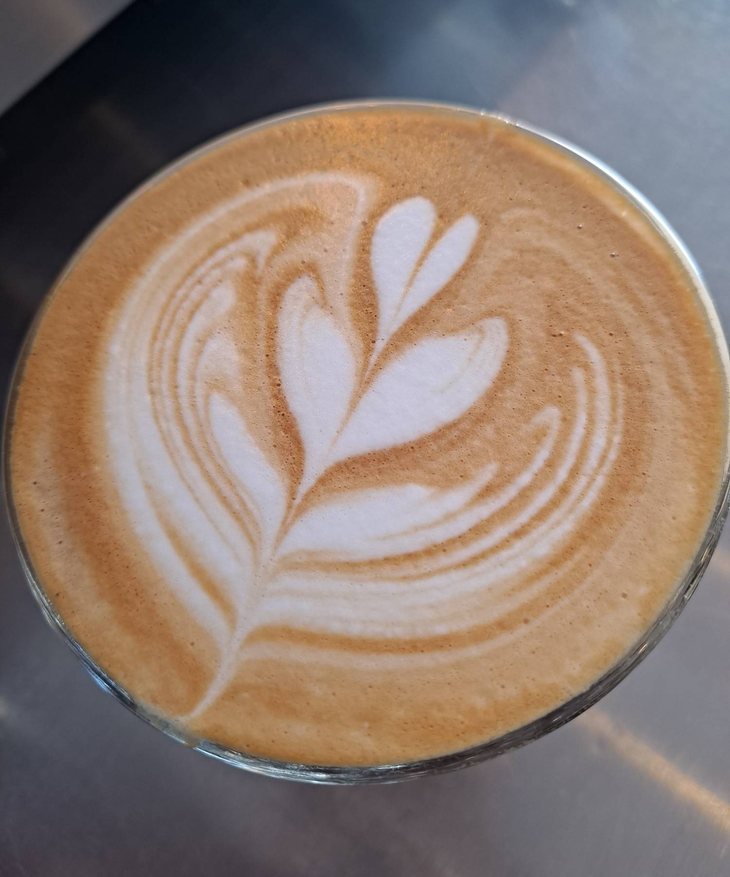 라떼아트 윙튤립