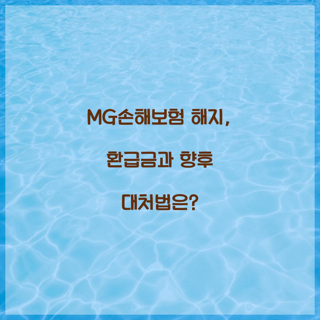 MG손해보험 해지