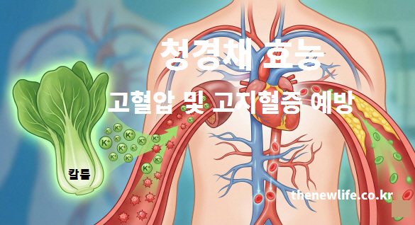 칼륨 성분이 나트륨을 배출하여 고혈압과 고지혈증 예방을 돕는 청경채
