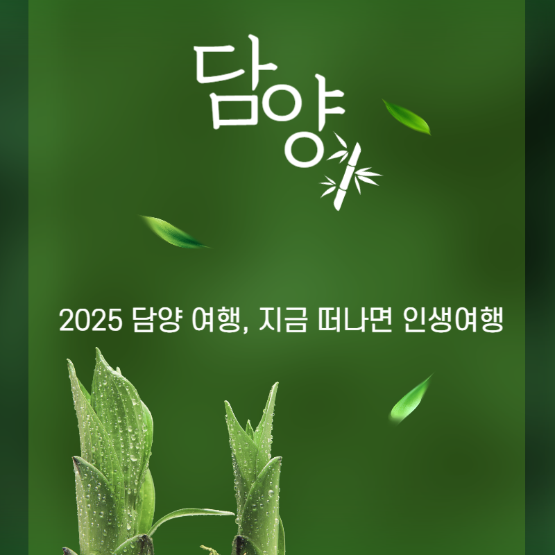 2025 담양 여행