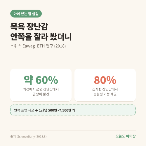 목욕 장난감 속 곰팡이, 물 빼는 것만으로 될까? 연구로 본 '구멍 장난감'의 속사정