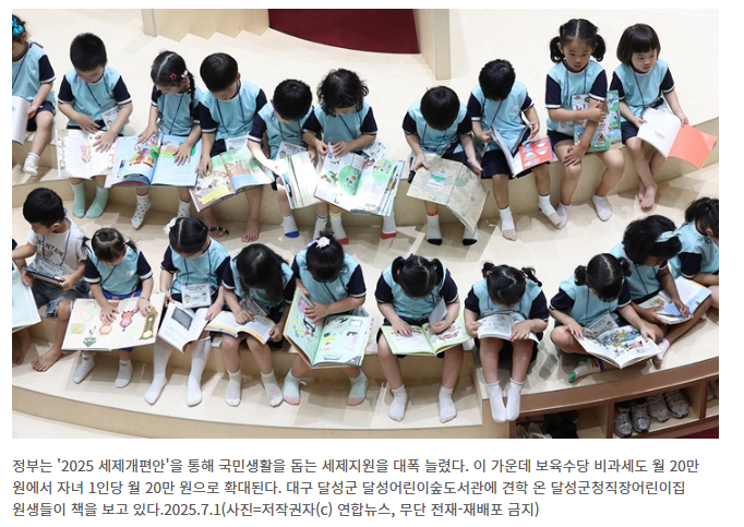 2025년 세제개편안(세수정상화,다자녀지원,AI세제지원)