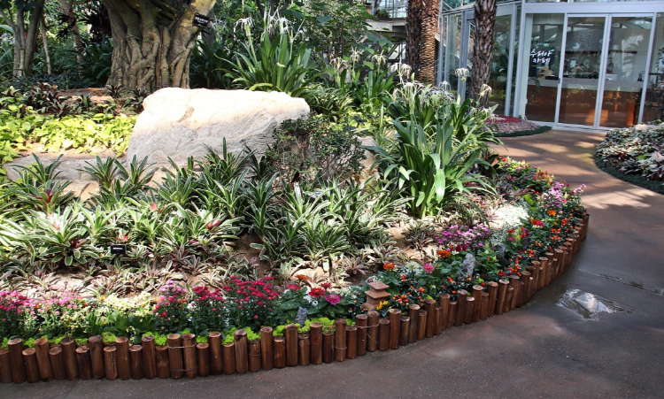 부천호수식물원 수피아