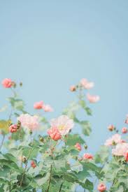 비염과 알레르기 비염 증상과 치료법