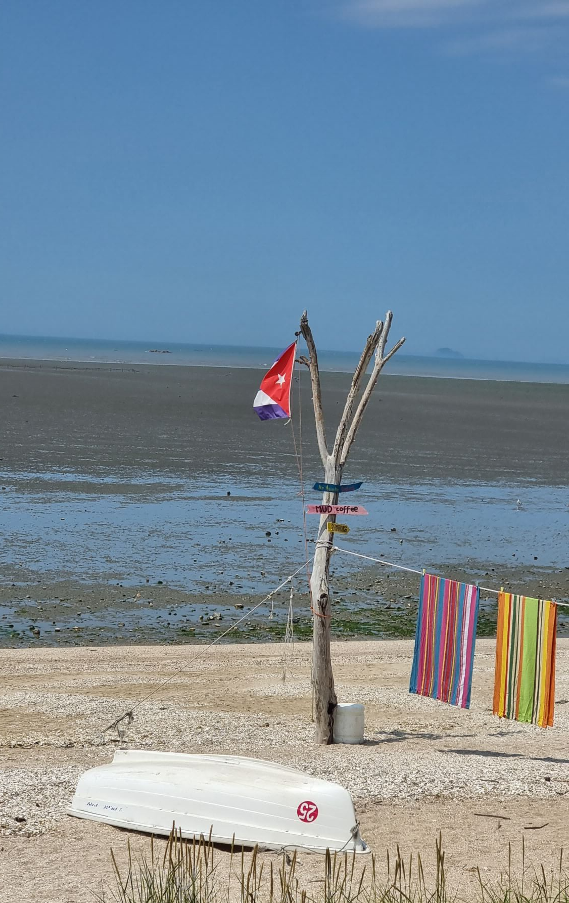 이국적인 느낌에 뻘다방