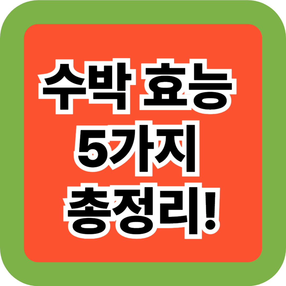 수박 효능 5가지 총정리! 여름에 꼭 먹어야 할 이유 한눈에 완전 정복