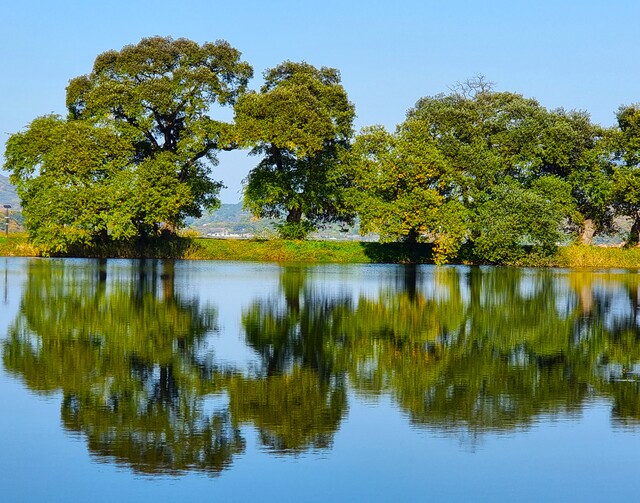 경산시티투어 완벽 가이드: 코스, 운영시간, 예약방법 총정리