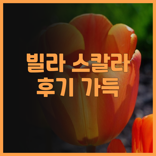 빌라 스칼라브리니 추천 후기 가득한