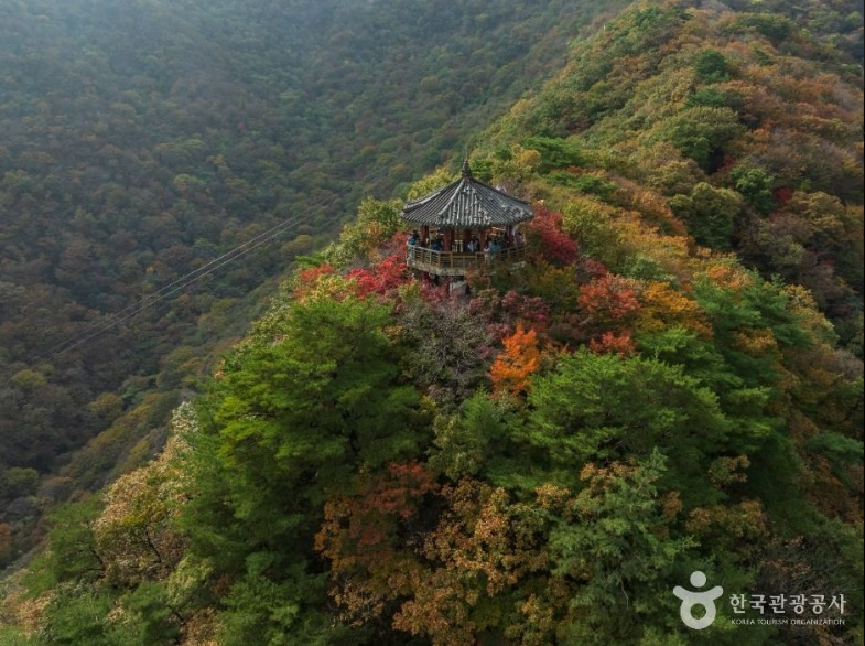 정읍 내장산 자연휴양림