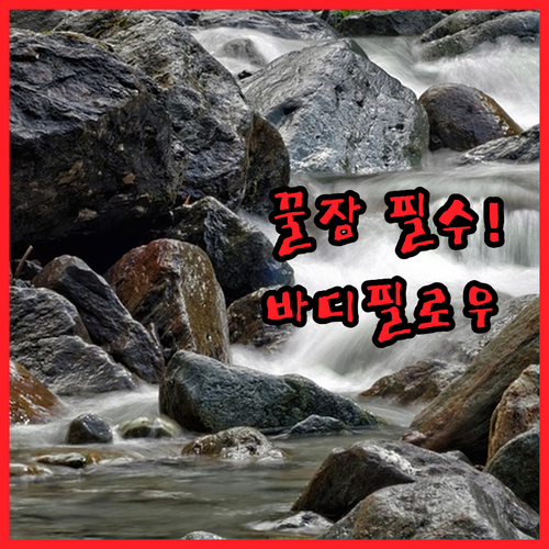 바디필로우 추천 5종 라텍스 메모리폼..