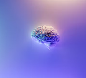 치매 진단 방법 치료 예방 가이드