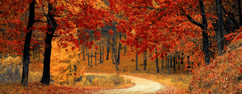 [색채심리학] 주황색: 긍정적/부정적 효과, 어울리는 곳