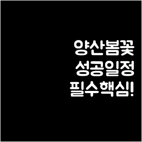 양산 봄 여행 성공을 위한 테마별 맞..