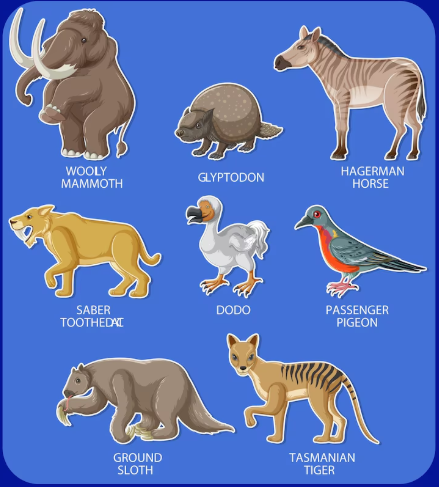 멸종 위기 동물의 심각성 및 보호해야 하는 이유