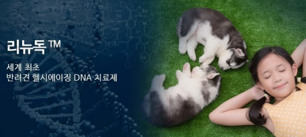 리뉴독,반려견노화치료제,강아지회춘,반려동물DNA치료제,면역력강화주사,IGF1,플럼라인생명과학