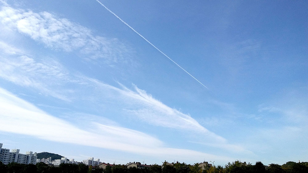 서울둘레길 안양천 '하얀 구름'