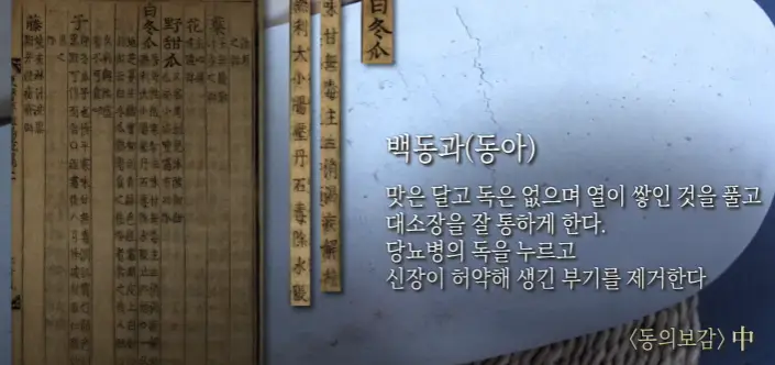 동과-효능-동의보감