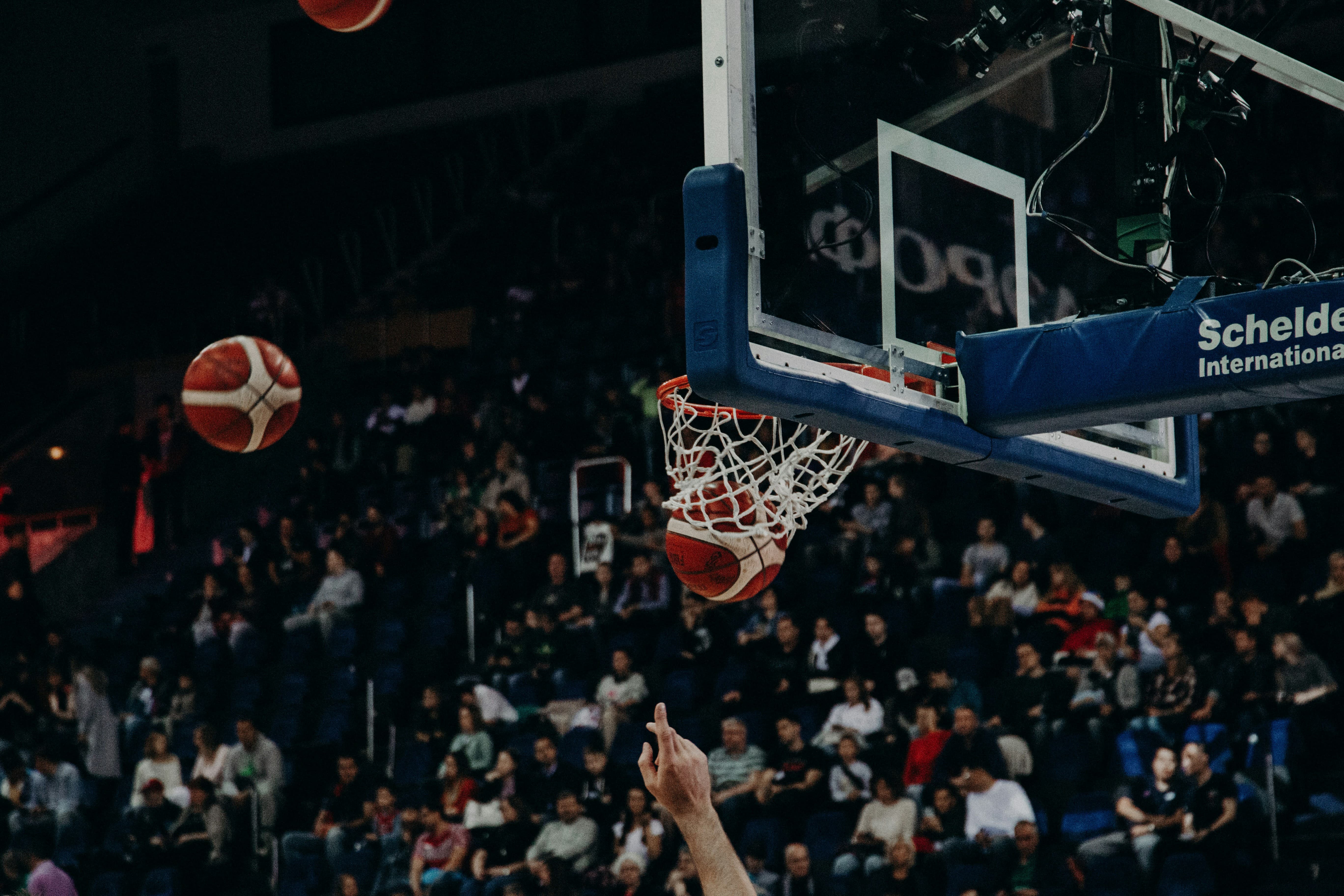 2026 KBL 프로농구 플레이오프 일정 총정리