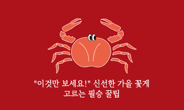가을꽃게