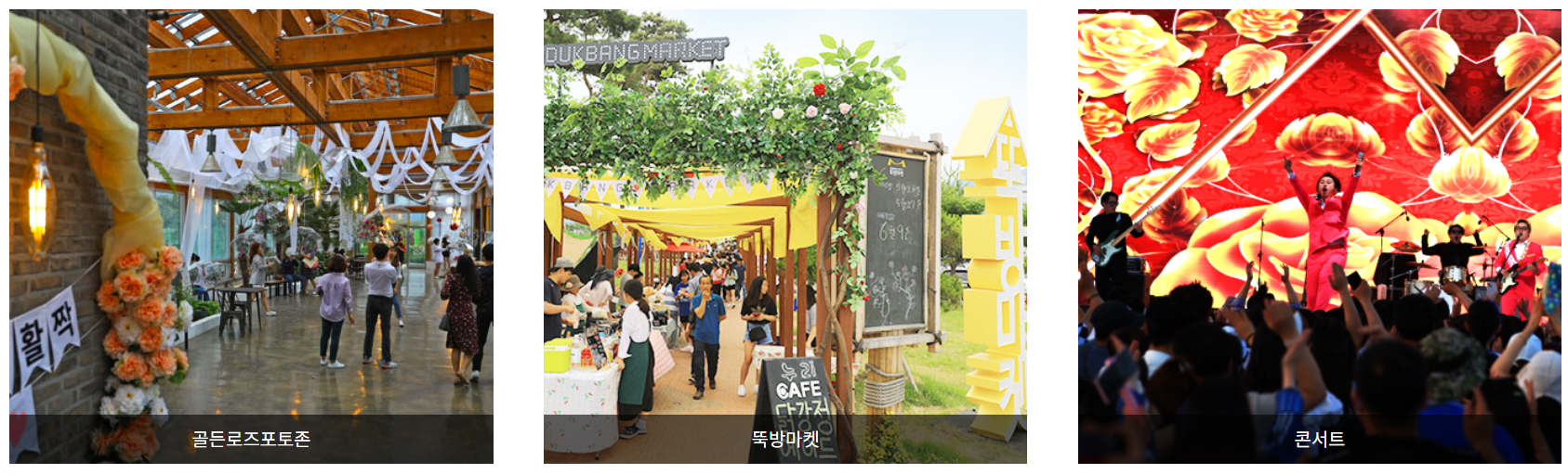 세계장미축제 행사안내