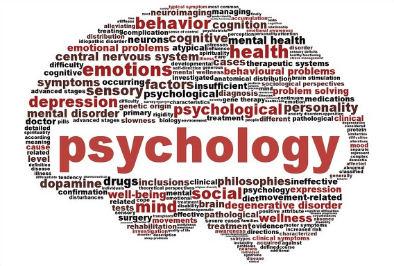 심리학 관련 사진