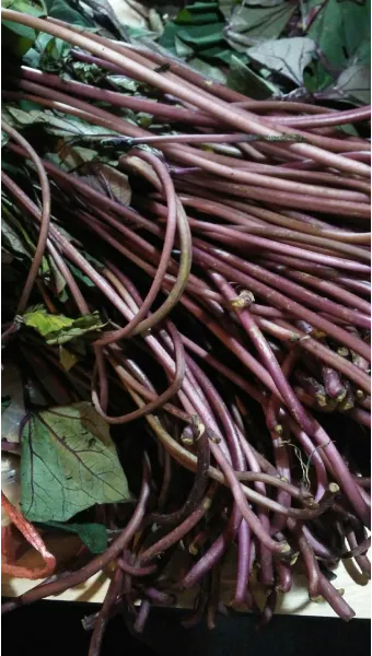 고구마순 볶음 레시피 꿀팁 레시피_6