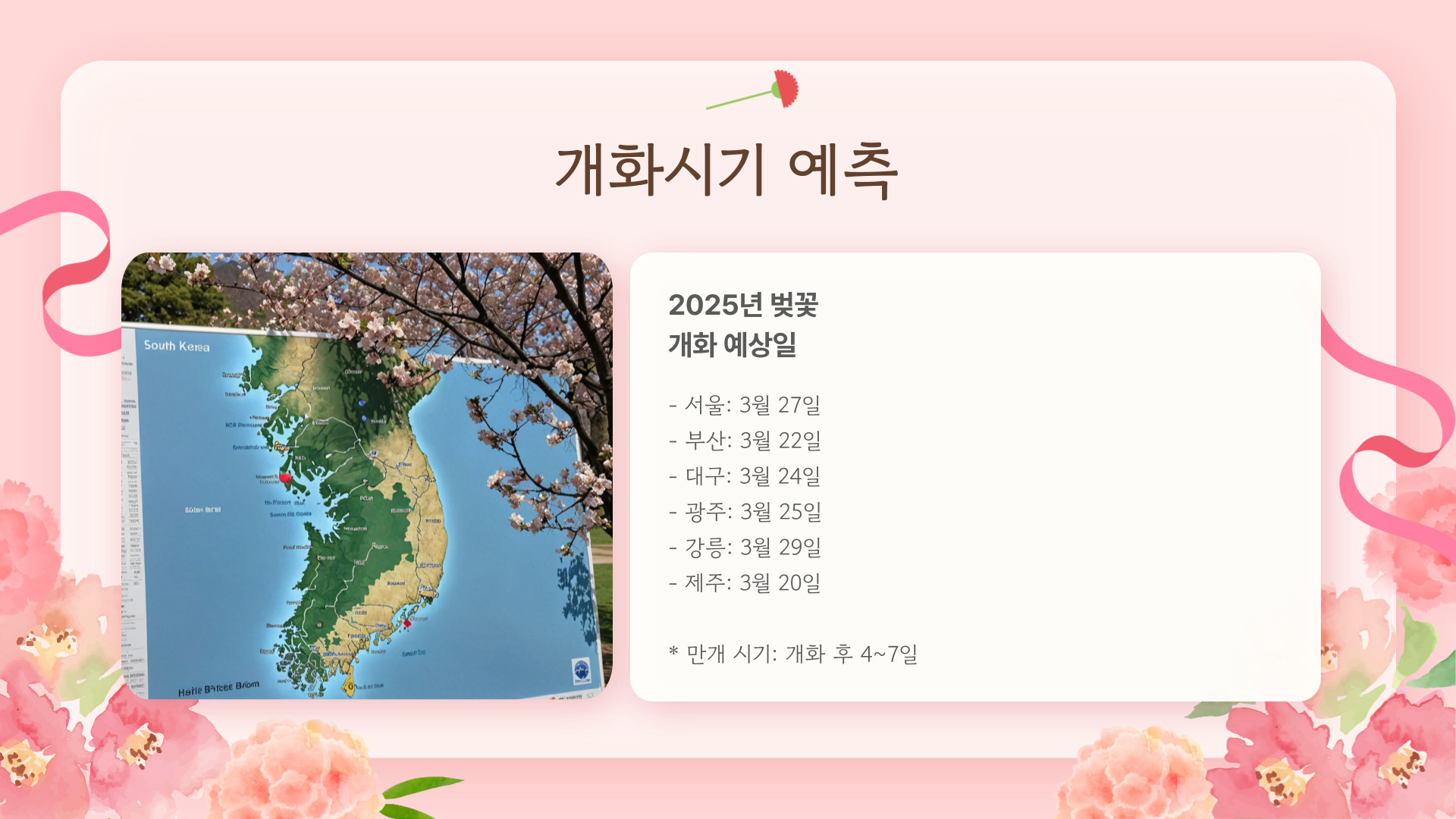 2025년 벚꽃 개화시기