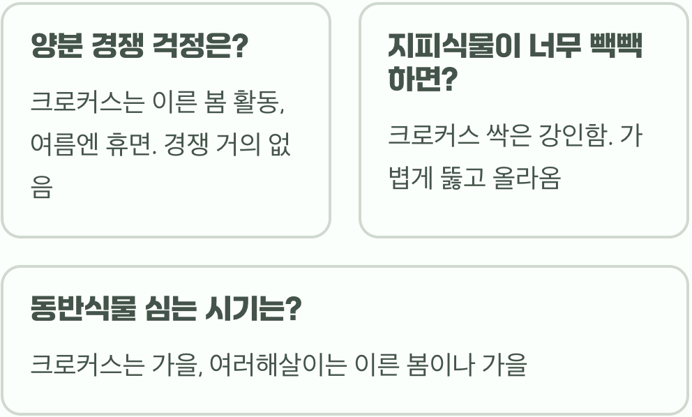크로커스와 궁합이 좋은 식물&amp;#44; 함께 심으면 정원이 더 풍성해져요