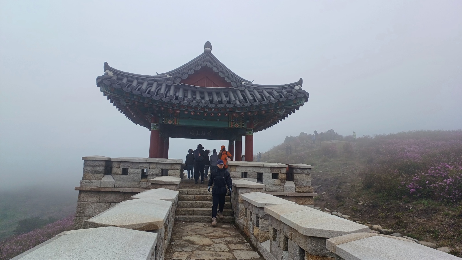 합천 황매산 철쭉37