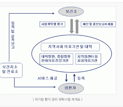 쳬계도