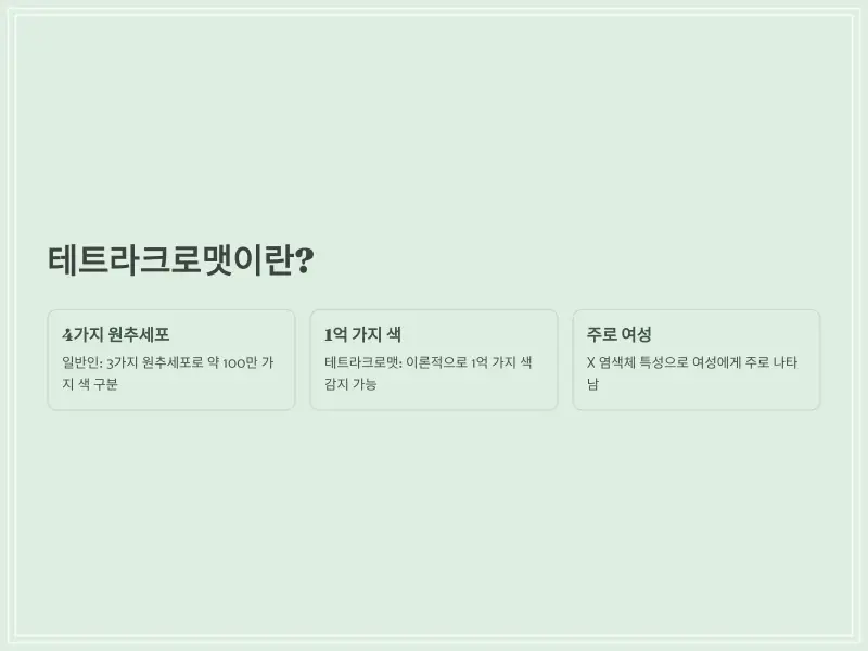 테트라크로맷-2_