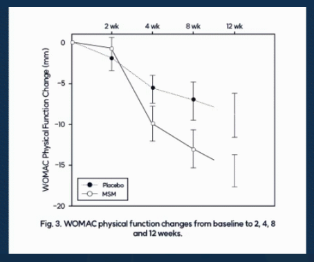 옵티머스트 관절약 효능 인체 적용시험 결과 사진