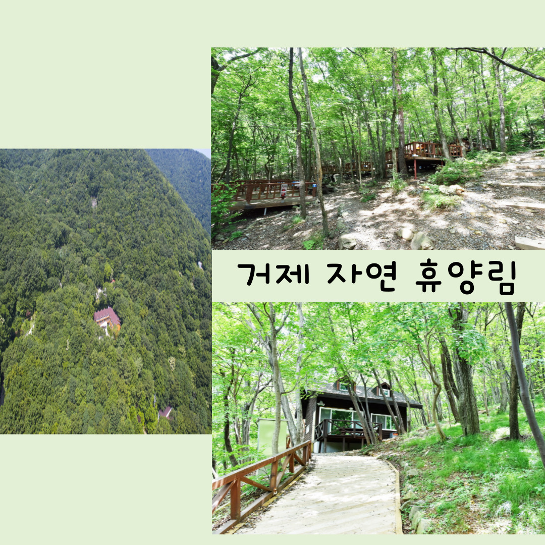 거제 자연 휴양림