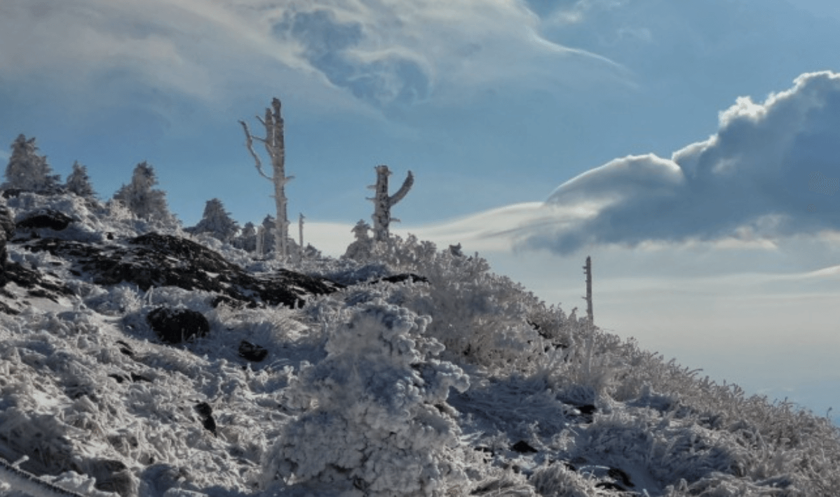 지리산에-눈이-쌓여-있다