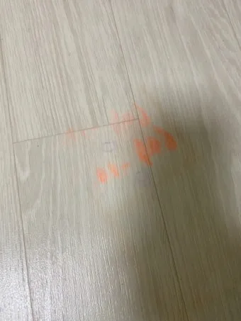 장판 이염 제거 매직블록과 알코올 적정 사용법_2